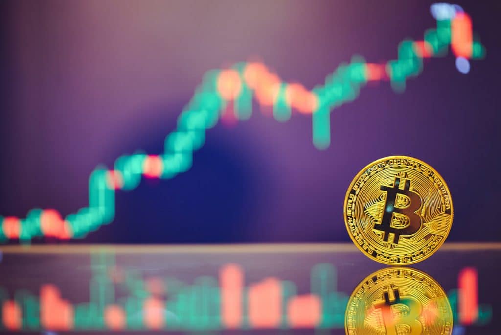 Portrait of a bitcoin coin